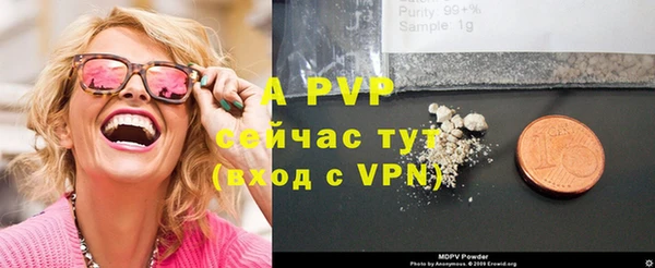 apvp Богданович